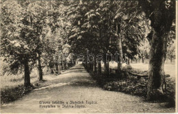 T2 1914 Stubicke Toplice, Stubica-Töplitz; Glavno Setaliste / Hauptallee / Main Promenade - Unclassified