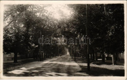 T2/T3 1940 Óbecse, Stari Becej; Utca / Street View. Photo - Non Classificati