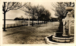 T3/T4 Palicsi Tó, Sétány / Lake, Promenade (fa) - Ohne Zuordnung