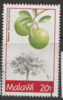 Malawi 1993  SG 909  World  Forestry  Day Fine Used - Malawi (1964-...)