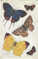 T3 Butterflies And Moths. Raphael Tuck & Sons' "Aquarette" Postcard No. 9219. (worn Corners) - Non Classificati