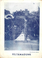 ** T2/T3 1933 Gödöllői Jamboree, Irredenta Képeslap; Kiadja A Magyar Nemzeti Szövetség / Hungarian Scout Postcard, Irred - Non Classés
