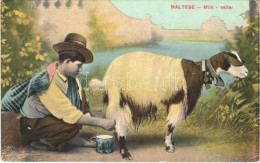 * T2/T3 Malta, Maltese Milk Seller, Goat Milking, Folklore (EK) - Unclassified