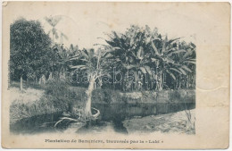 * T3 1911 Plantation De Bananiers, Traversée Par La "Luki" / Congolese Folklore, Banana Plantation (EB) - Sin Clasificación
