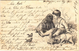 T2/T3 1901 Boy With Dogs. Emb. Litho (fa) - Unclassified