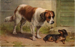 ** T2/T3 Bernhardiner Und Dackel / St. Bernard And Dachshund Dog. T.S.N. Serie 1337. (4 Muster) S: Carl Reichert - Ohne Zuordnung