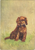 ** T1/T2 Sussex Spaniel, Dog Art Postcard, Minicard (8,8 Cm X 12,7 Cm) Emb. - Non Classés