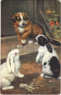 T2/T3 1916 "Among The Bunnies" Dog With Rabbits, Raphael Tuck & Sons "Oilette" No. 9539, S: B. Cobbs (EK) - Unclassified