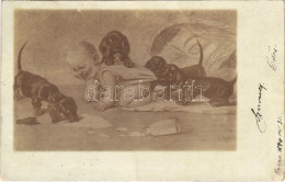 T2/T3 1899 Dachshund Dogs With Child, Humour Art Postcard. Artist Signed (EB) - Non Classificati