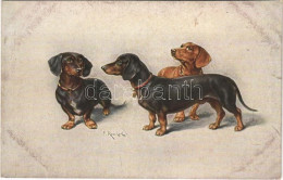 ** T2 Dachshund Dogs. T.S.N. Serie 1565. No. 4. S: Reicherl - Unclassified