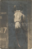 ** T2/T3 Race Horse (EK) - Non Classés