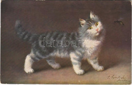 ** T2/T3 Cat Art Postcard. T.S.N. Serie 1843. (6 Dess.) S: Sperlich (EK) - Unclassified