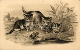 ** T4 Cats With A Frog. Litho (tiny Pinhole) - Non Classificati