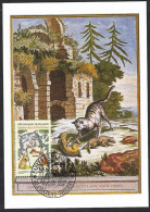 France, Francia 1995; Maximum Card E FDC “Le Chat, La Belette Et Le Petit Lapin”; Fables De La Fontaine. - Chats Domestiques