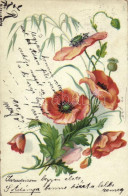 T2/T3 1900 Flowers Litho Greeting Card (EK) - Non Classés