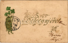 T2/T3 1901 Boldog Újévet! / New Year Greeting Card With Clover And Pig. Emb. Litho (fl) - Unclassified