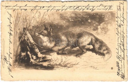 T2/T3 1900 Hunter Art Postcard, Fox (fl) - Unclassified