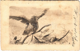 T2/T3 1900 Hunter Art Postcard, Prey (fl) - Unclassified