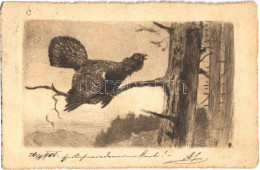 T2/T3 1900 Hunter Art Postcard, Prey (fl) - Unclassified