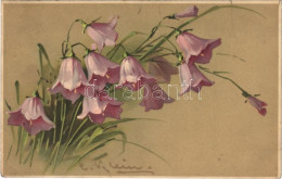 T2/T3 1907 Meissner & Buch Künstler-Postkarten Serie 1403. "Wenn Die Blumen Erwachen" Litho S: C. Klein + "GRAZ - BUDAPE - Non Classificati