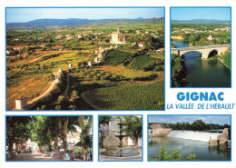 FRANCE - Gignac - La Vallée De L'Hérault- Colorisé - Carte Postal Ancienne - Gignac