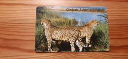 Phonecard Namibia - Cheetah - Namibia