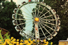 CP - Belgique - WAVRE   WALIBI     La Grande Roue - Wavre