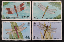 SD)Monserrat. Insects. Dragonflies. River. Mnh. - Montserrat