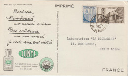 Andorre 1950 Carte Ionyl Biomarine Maison Des Vallées - Storia Postale