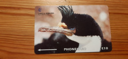 Phonecard Falkland Islands 229CFKA - Bird, King Cormorant - Islas Malvinas