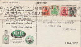 Liban 1951 Carte Ionyl Biomarine Le Krak Des Chevaliers - Liban