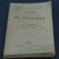 Culture Perfectionnée Et Moins Couteuse Du Vignoble- - 1801-1900