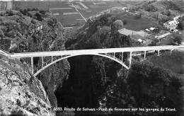 Route De Salvan Pont Du Gueuroz Sur Les Gorges Du Trient - Salvan