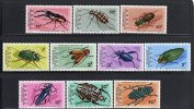 CONGO  -  N°753/62 ** (1971)   INSECTES - Neufs