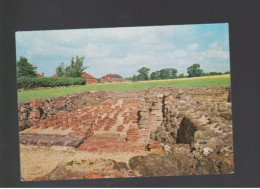 Letocetum, Roman Remains, Staffordshire -   Unused Postcard   - UK17 - Altri & Non Classificati