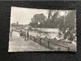 A137 Deventer Plantsoen 1957 - Deventer