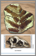 GUINEA REP. 2023 MNH Fossils Fossilien Fossiles S/S - IMPERFORATED - DHQ2339 - Fossili