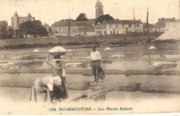 Noirmoutier .  Les Marais Salants - Noirmoutier