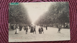 Montpellier , L'esplanade - Montpellier