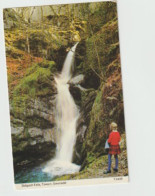 Dodgoch Falls,Towyn, Gwynedd, Wales -   Unused Postcard   - UK24 - Gwynedd