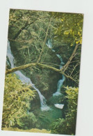 The Waterfall, Ty'ny Coed, Arthog -   Unused Postcard   - UK24 - Gwynedd