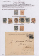 Deutsches Reich - Privatpost (Stadtpost): 1891/1899, HALLE/Hammonia/Courier/Expr - Correos Privados & Locales