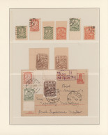 Deutsches Reich - Nebengebiete: 1914/1945, Umfangreiche Sammlung In Zwei Lindner - Collections