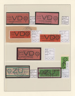 DDR - Dienstmarken: 1954/1965, Umfangreiche Sammlung Dienst Und ZKD Im Ringbinde - Altri & Non Classificati