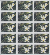 Belize: 1996/2015. Collection Containing 836 IMPERFORATE Stamps (inclusive Some - Belize (1973-...)