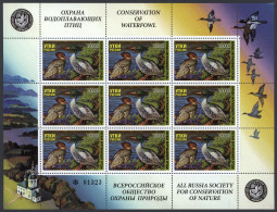 Russia: 1996, 30.000 R. Waterfowl Duck Stamp MNH, 167 Miniature Sheets With 9 St - Other & Unclassified