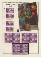 Schweiz: 1862/1951, Sammlungspartie Auf Albenblättern Ab Etwas Frühen Ausgaben U - Collections