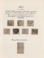 Alwar: 1877/1901 Specialized Exhibition Collection Of More Than 120 Stamps, Well - Alwar