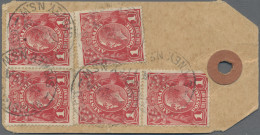 Australia: 1914/1919 Ca., 1d Red KGV (ACSC 71 & 72), Very Interesting Collection - Collections