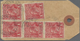 Australia: 1914/1919 Ca., 1d Red KGV (ACSC 71 & 72), Very Interesting Collection - Sammlungen